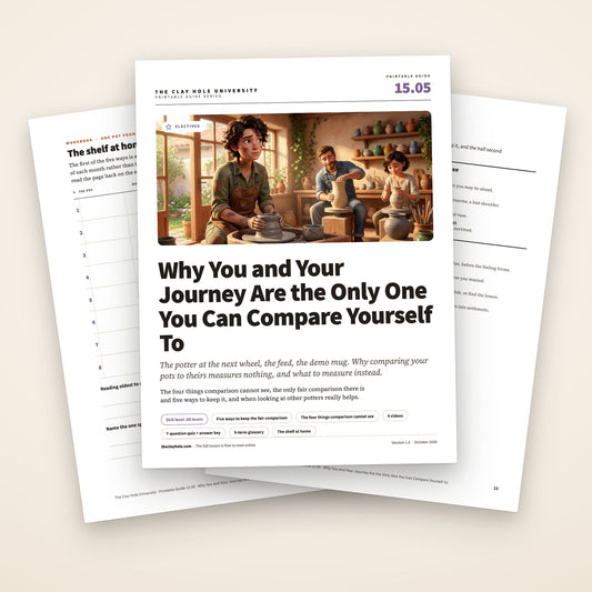Why You and Your Journey Are the Only One You Can Compare Yourself To printable guide: the cover, with the shelf at home log and the one page reference fanned behind it