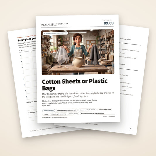 Cotton Sheets or Plastic Bags printable guide: the cover, with the practice log and the one page summary fanned behind it