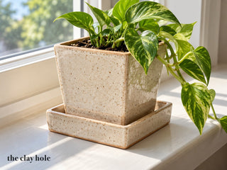 A tapered square speckled stoneware planter in its matching saucer with a pothos, made from The Clay Hole planter paper template