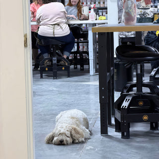 A fluffy cream dog sleeps on a gray floor beside black work stools while people sit at tables behind at The Clay Hole in Draper, Utah
