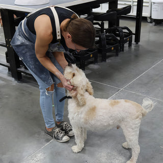 A potter in a gray apron bends down to pet a fluffy cream and tan dog on a concrete floor at The Clay Hole in Draper, Utah